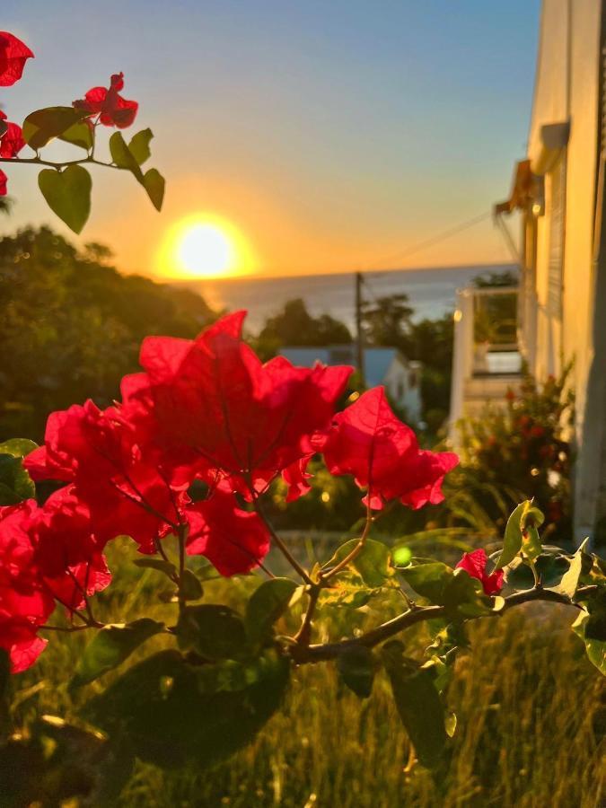 Villa Sunrise Deshaies Exterior foto